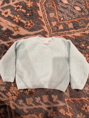Zara Pale Blue Chenile Crew Neck Sweater
